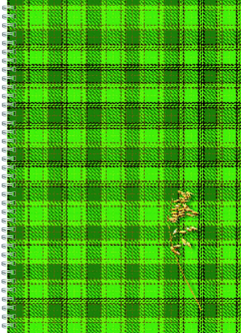 Kołonotatnik B5/120k Kreska gładki